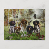 Bretagne Spanjaarden, vogeljacht Briefkaart (Achterkant)