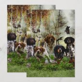 Bretagne Spanjaarden, vogeljacht Kaart (Voorkant / Achterkant)