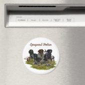 Bretagne Spanjaarden, vogeljacht Magneet (Insitu (Vaatwasser))