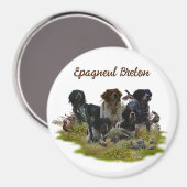 Bretagne Spanjaarden, vogeljacht Magneet (Voorkant / Achterkant)