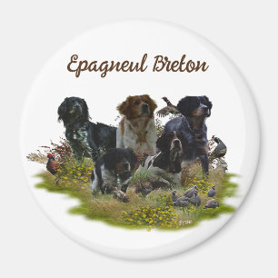 Bretagne Spanjaarden, vogeljacht Magneet