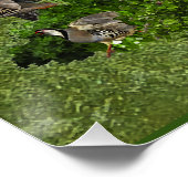 Bretagne Spanjaarden, vogeljacht Perfect Poster (Hoek)