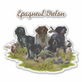 Bretagne Spanjaarden, vogeljacht Sticker