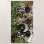 Bretagne Spanjaarden, vogeljacht Strandlaken (Voorkant)