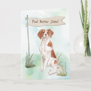 Bretagne voelt zich beter na Chirurgie aan Hond Kaart