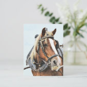 Breton-conceptpaard in harnas briefkaart (Staand voorkant)