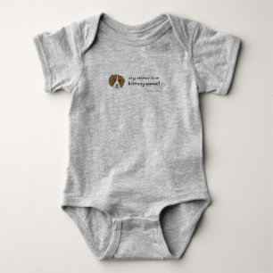 breton spaniel romper
