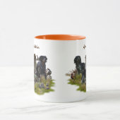 Breton Spaniels, Vogeljacht Mok (Midden)