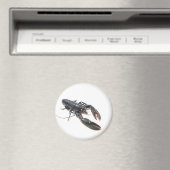 Bretonkreeft Magneet (Insitu (Vaatwasser))