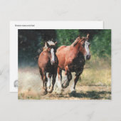 Bretonse paarden briefkaart (Voorkant / Achterkant)