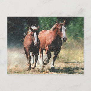 Bretonse paarden briefkaart