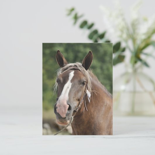 Bretonse wandelaar briefkaart (Staand voorkant)