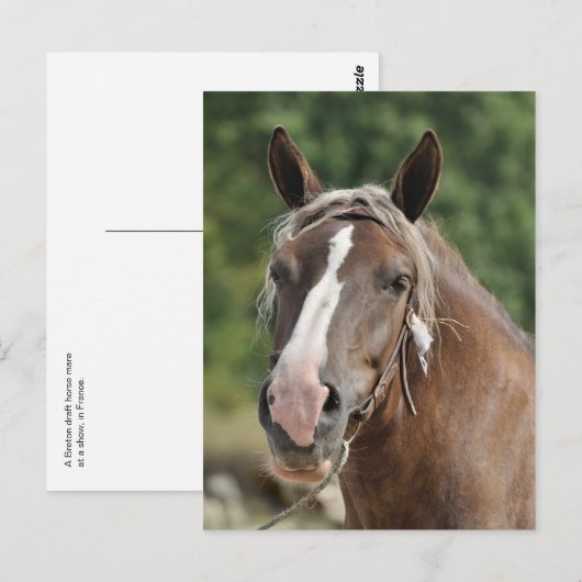 Bretonse wandelaar briefkaart (Voorkant / Achterkant)