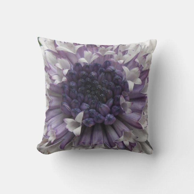 Brett Kussen (Voorkant)