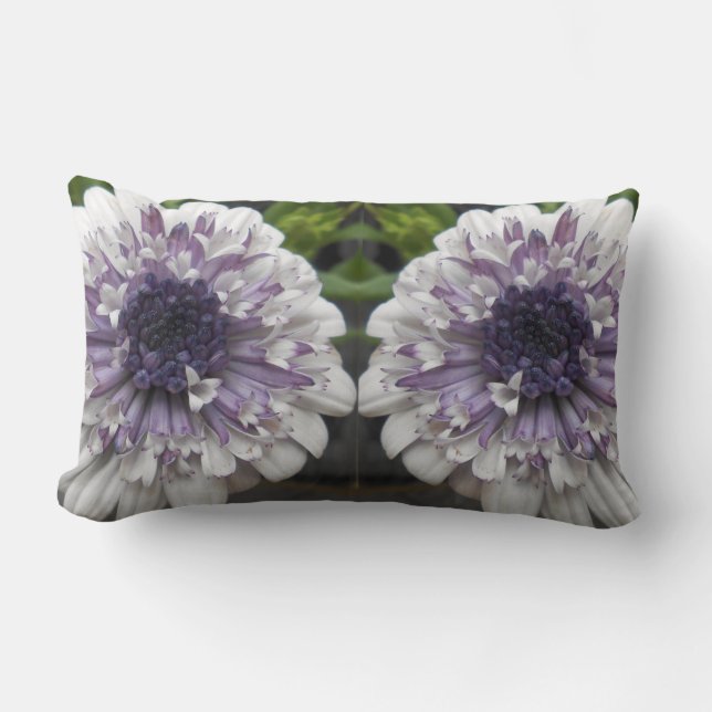 Brett Kussen (Voorkant)