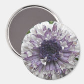 Brett Magneet (Voorkant / Achterkant)