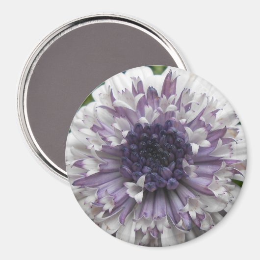 Brett Magneet (Voorkant / Achterkant)