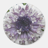 Brett Magneet (Voorkant)