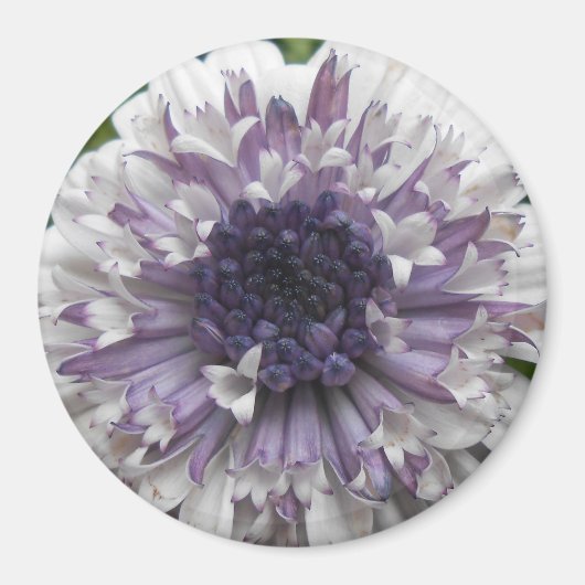 Brett Magneet (Voorkant)