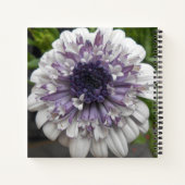 Brett Notitieboek (Achterkant)