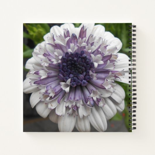 Brett Notitieboek (Achterkant)