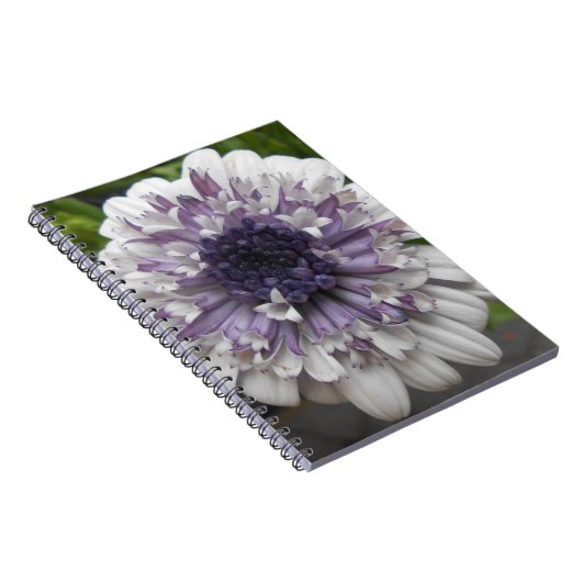 Brett Notitieboek (Rechterzijde)