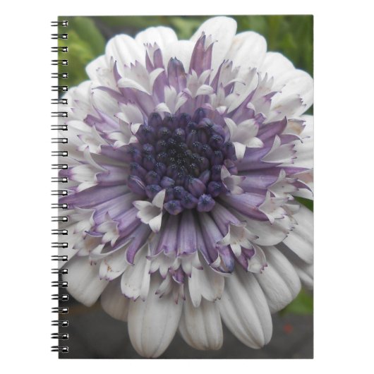 Brett Notitieboek (Voorkant)