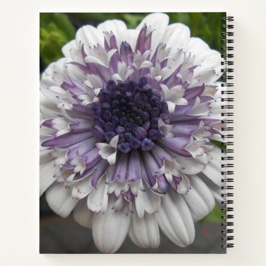 Brett Notitieboek (Achterkant)