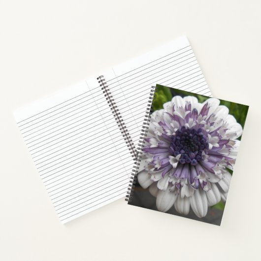 Brett Notitieboek (Binnen)