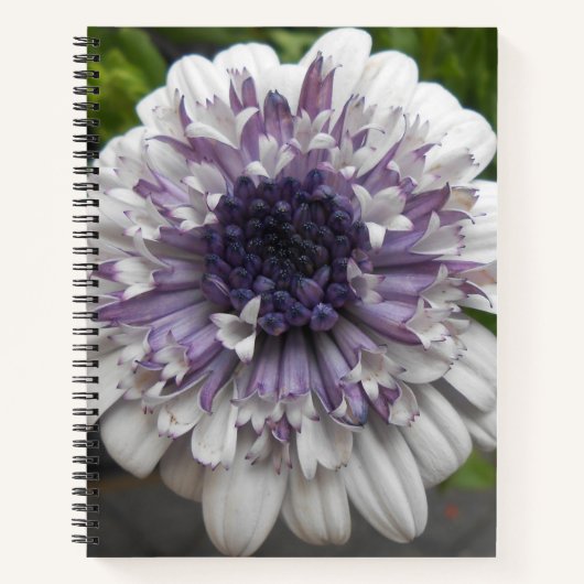 Brett Notitieboek (Voorkant)