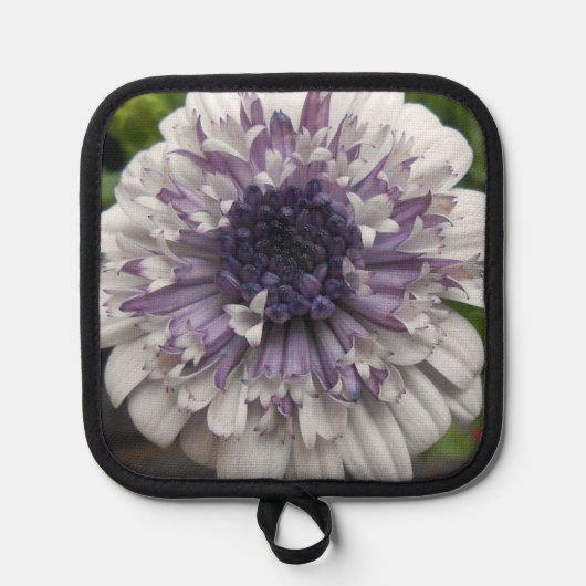 Brett Pannenlap (Voorkant)