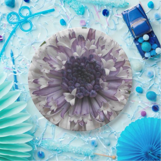 Brett Papieren Bordje (Feest)