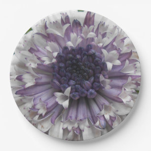 Brett Papieren Bordje