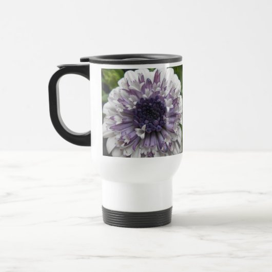 Brett Reisbeker (Links)