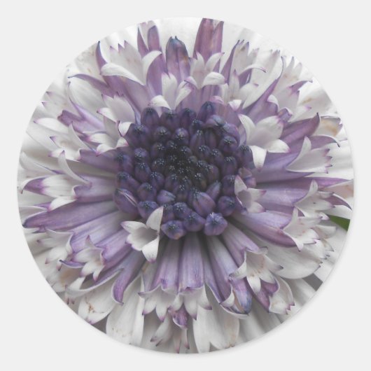 Brett Ronde Sticker (Voorkant)