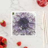 Brett Servetten (Insitu)