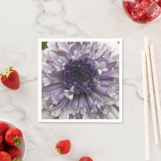 Brett Servetten (Insitu)