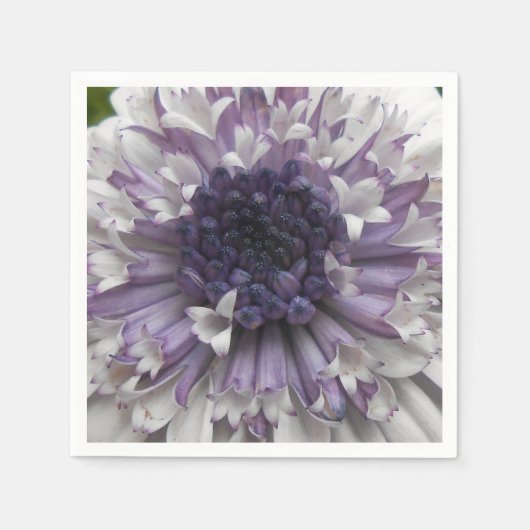 Brett Servetten (Voorkant)