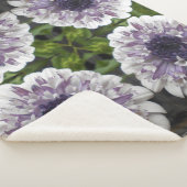 Brett Sherpa Deken (3/4)