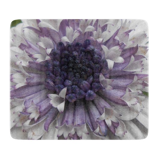 Brett Snijplank (Voorkant)