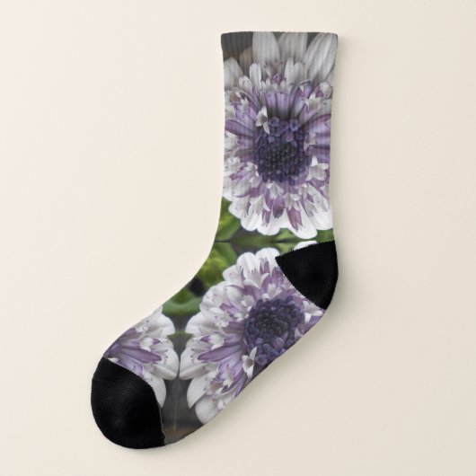 Brett Sokken (Links - buitenkant)