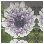 Brett Stof (Close Up)