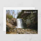 Brevard NC op zoek naar glazen Herfsten Waterval Briefkaart (Voorkant / Achterkant)