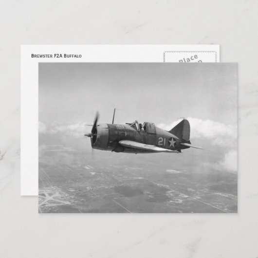 Brewster Buffalo Briefkaart (Voorkant / Achterkant)