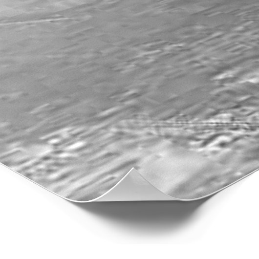 Brewster F2A Buffalo Poster (Hoek)