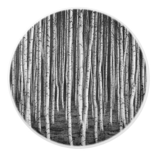 Brezový grove berkenbomen, rusland keramische knop (Voorkant)