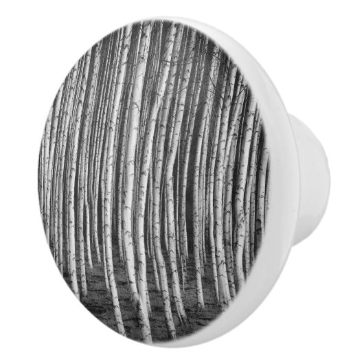 Brezový grove berkenbomen, rusland keramische knop (Rechts)