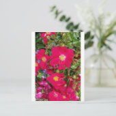 Briaire Rozen en zoete Violet Briefkaart (Staand voorkant)