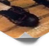 BRIAN BOSEWORTH DE LAND BOZ POSTER (Hoek)