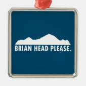 Brian Head Utah alsjeblieft Metalen Ornament (Voorkant)